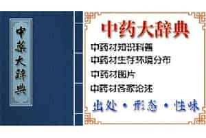 巴戟天(巴戟、鸡肠风、兔子肠)的功效与作用_中药大辞典_巴戟天图片_中药材